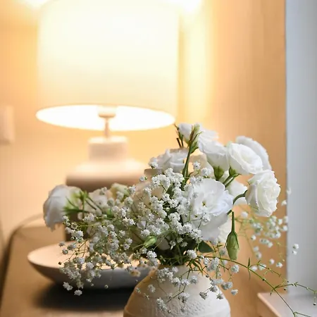 42 Zanardelli 4* 트라니