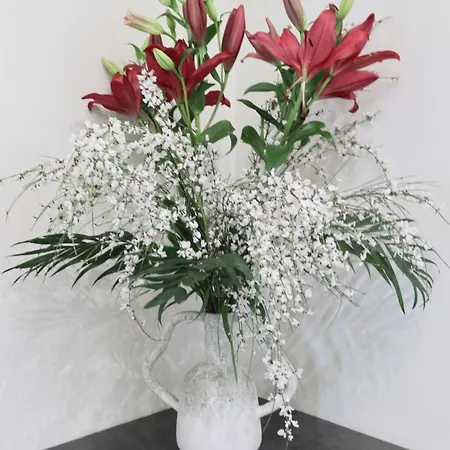 42 Zanardelli B&B 트라니