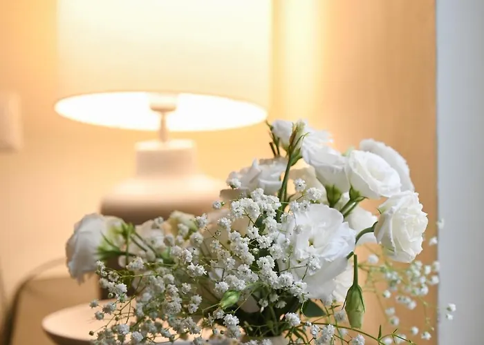 42 Zanardelli 4* Trani